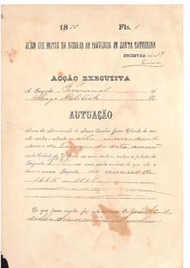 Executivo Fiscal de Hugo Delitich