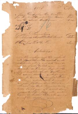 Inventário de Felizarda Analia da Costa Brocardo