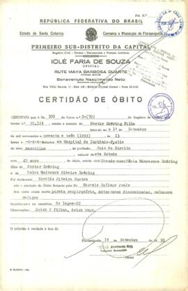Nestor Broering Filho