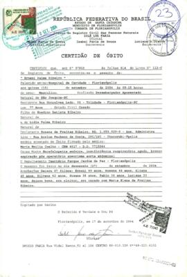 Ernani Palma Ribeiro